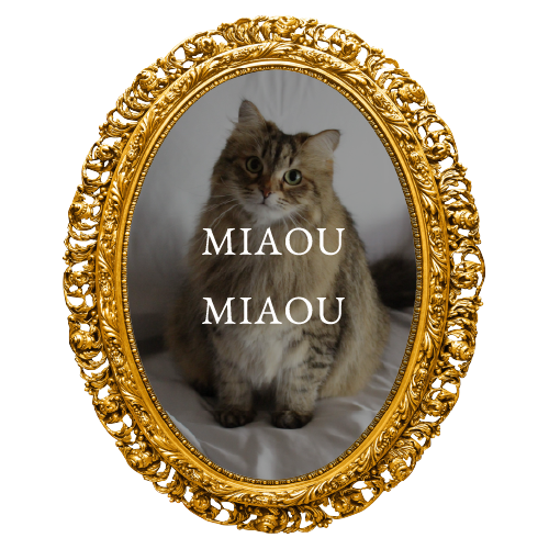 MIAOUMIAOU